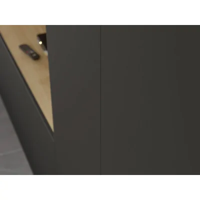 Minimalistyczna meblościanka z strefą RTV 350×240 cm Dąb Carpenter Jasny Czarny Onyx - HORIZON