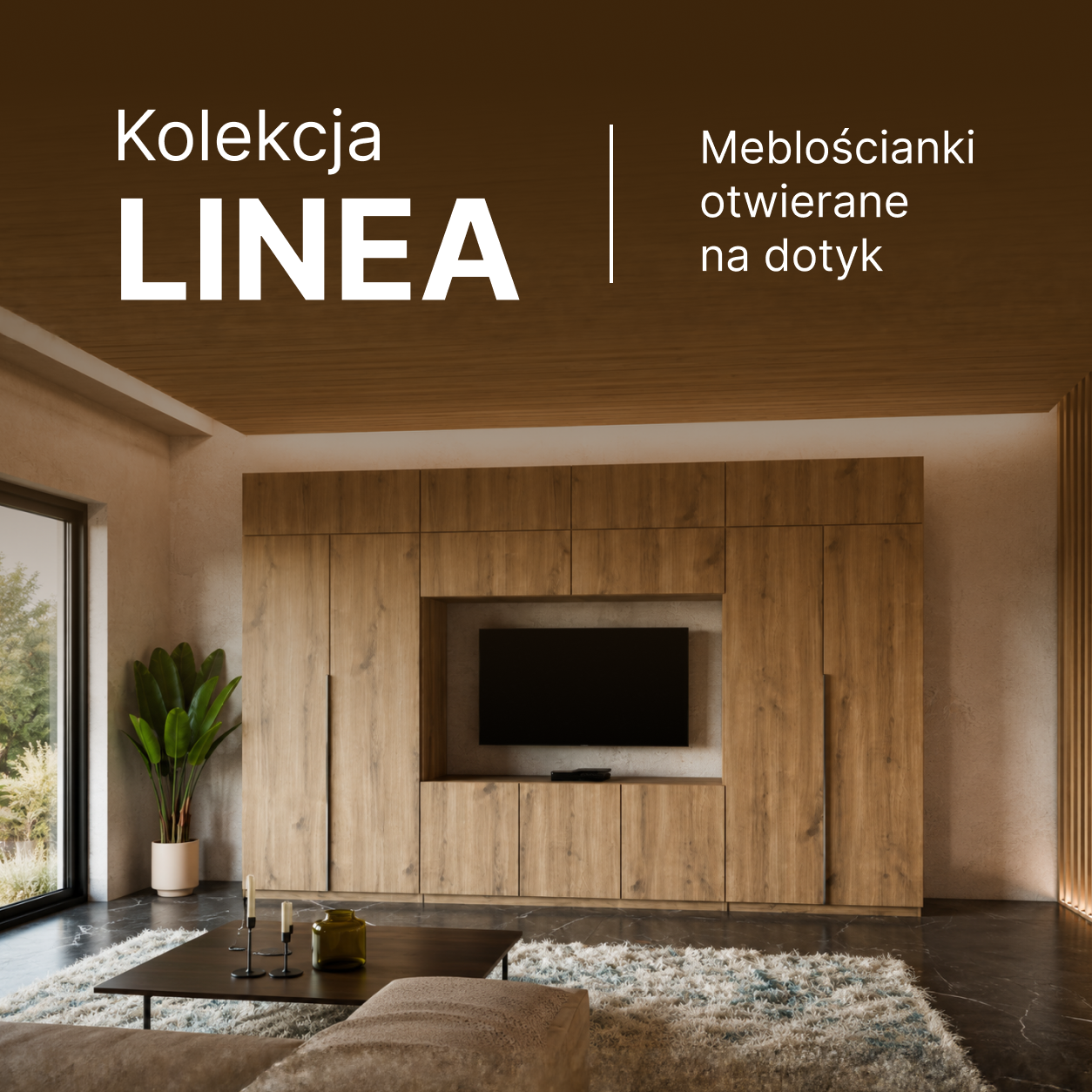 Kolekcja Linea