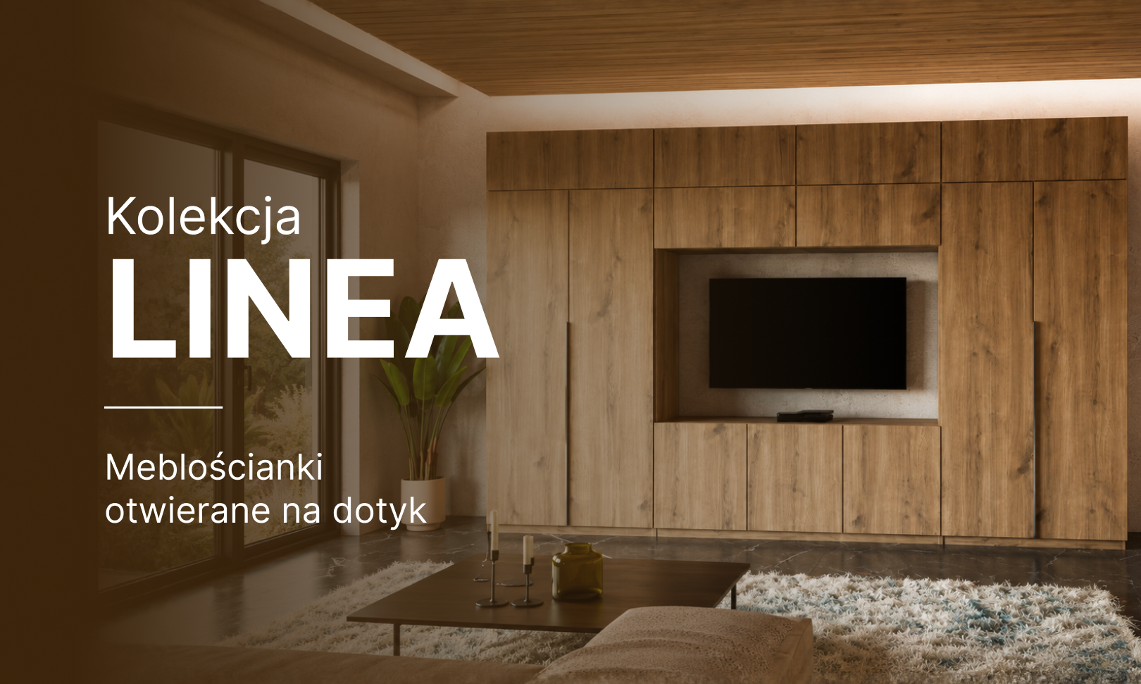 Kolekcja Linea