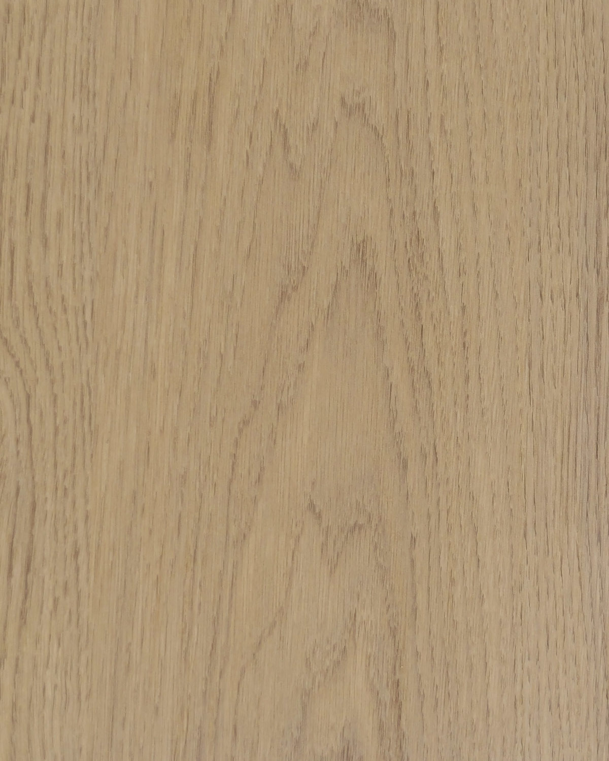 Dąb Baltic Dune.jpg