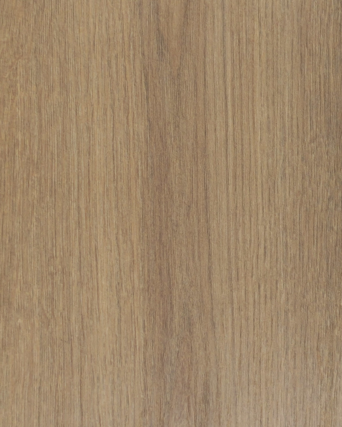 Dąb Carpenter Whisky.jpg