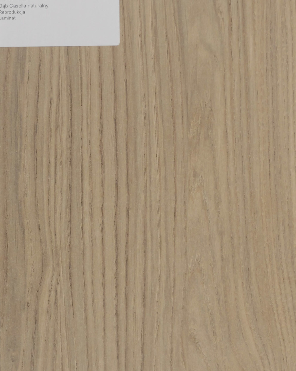 Dąb Casella Naturalny.jpg