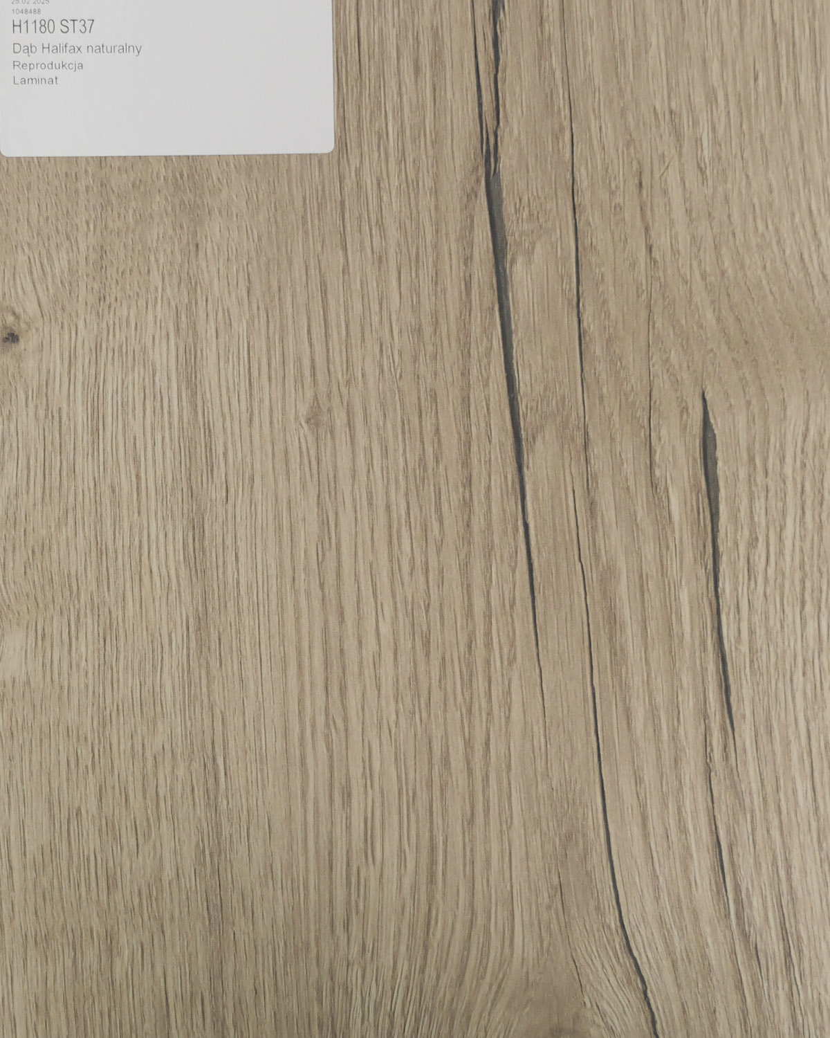 Dąb Halifax Naturalny.jpg