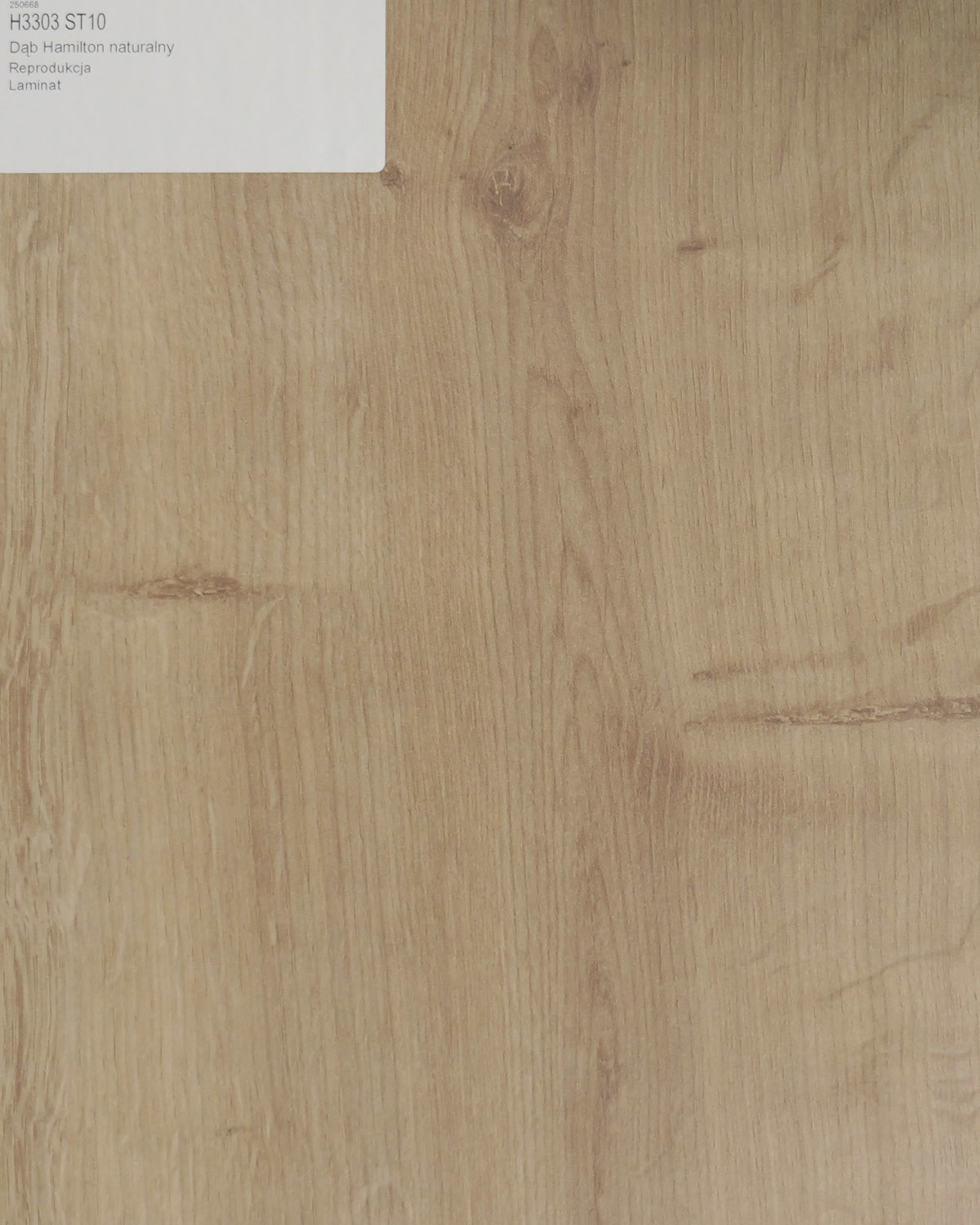 Dąb Hamilton Naturalny.jpg