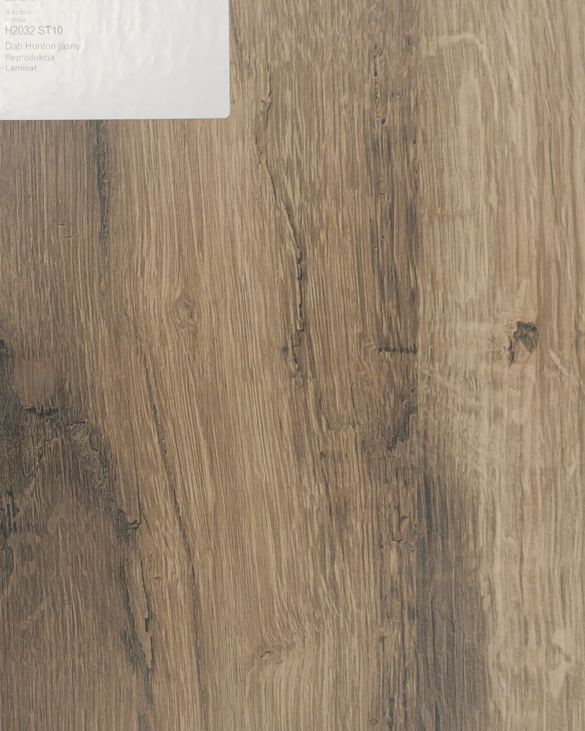 Dąb Hunton Jasny.jpg