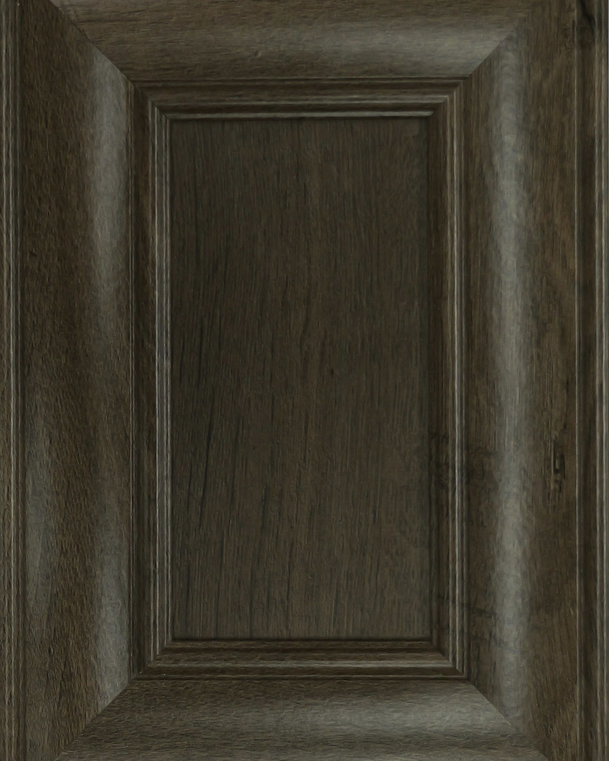 Dąb Lefkas + MR.jpg