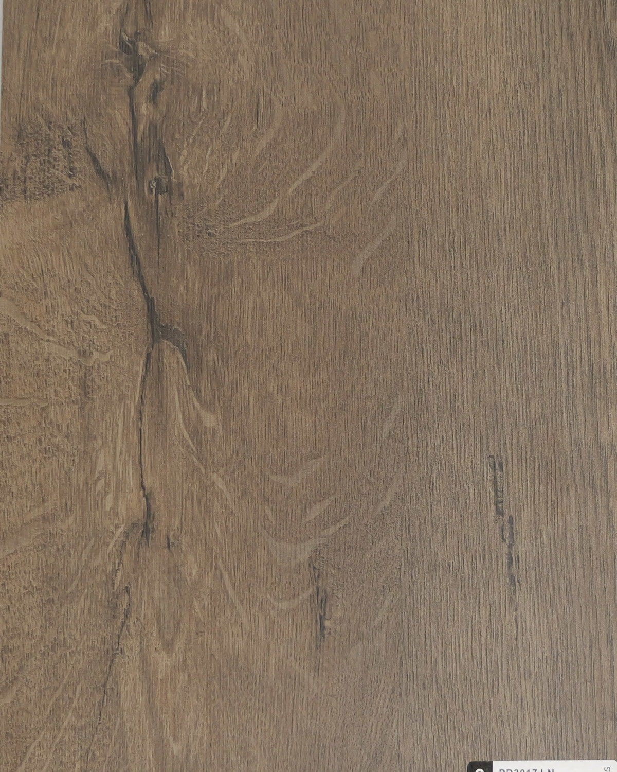 Dąb Lefkas Ciemny.jpg