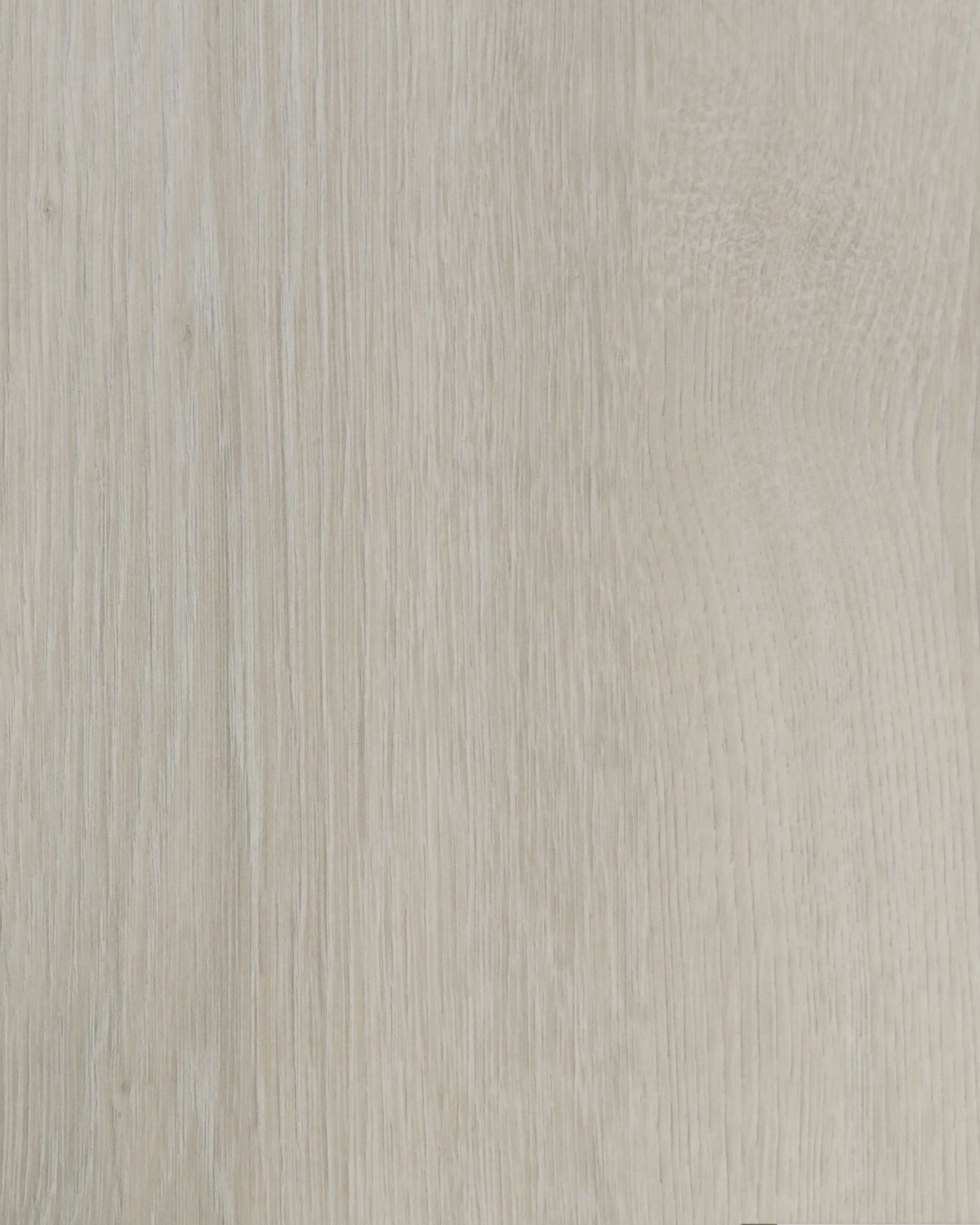 Dąb Lumberjack Frost.jpg