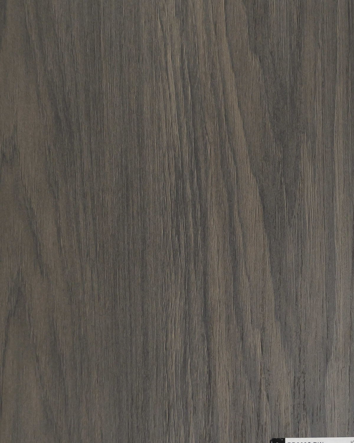 Dąb Windmill Dark.jpg