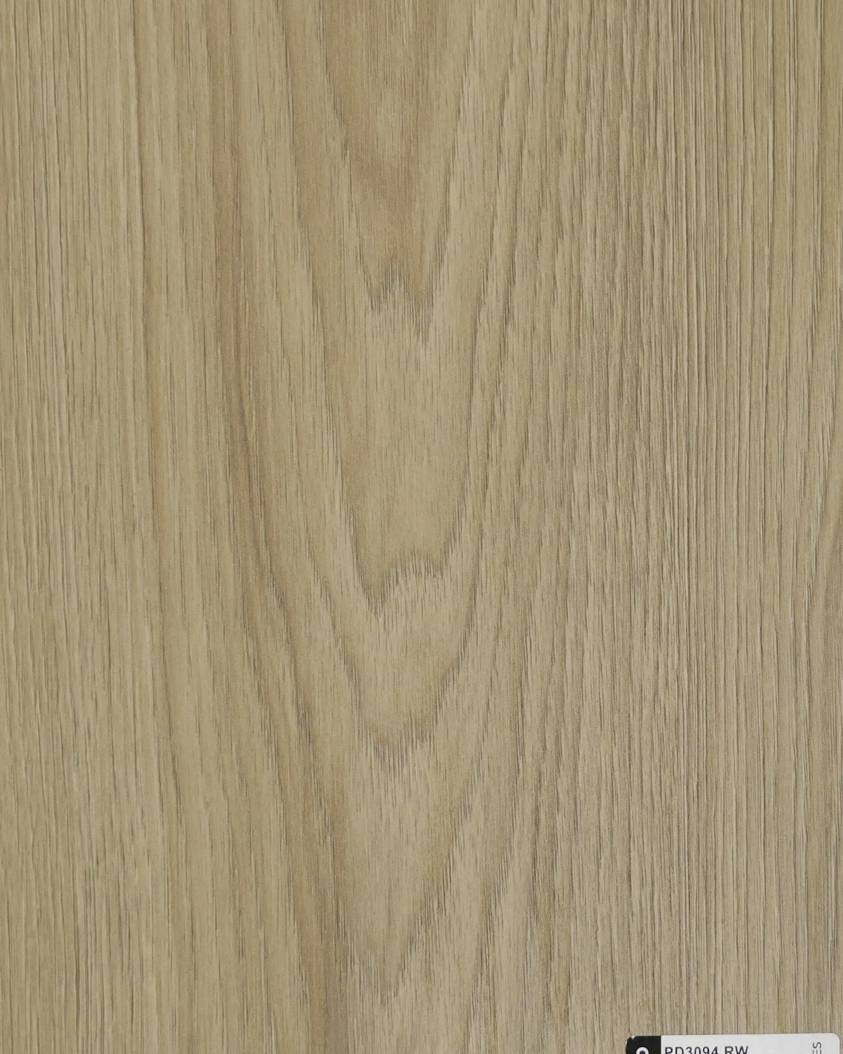 Dąb Windmill Gold.jpg