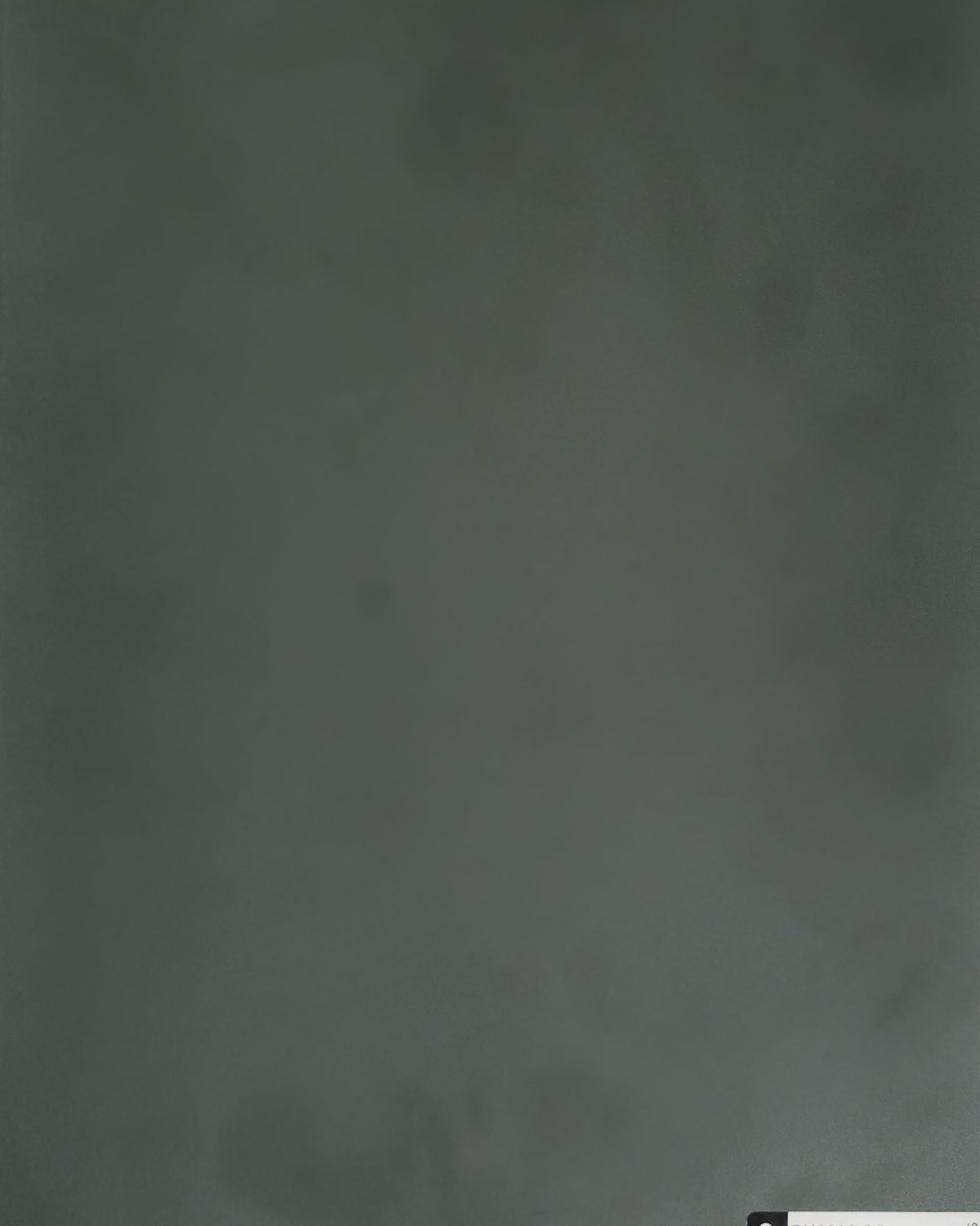 Zieleń Butelkowa.jpg